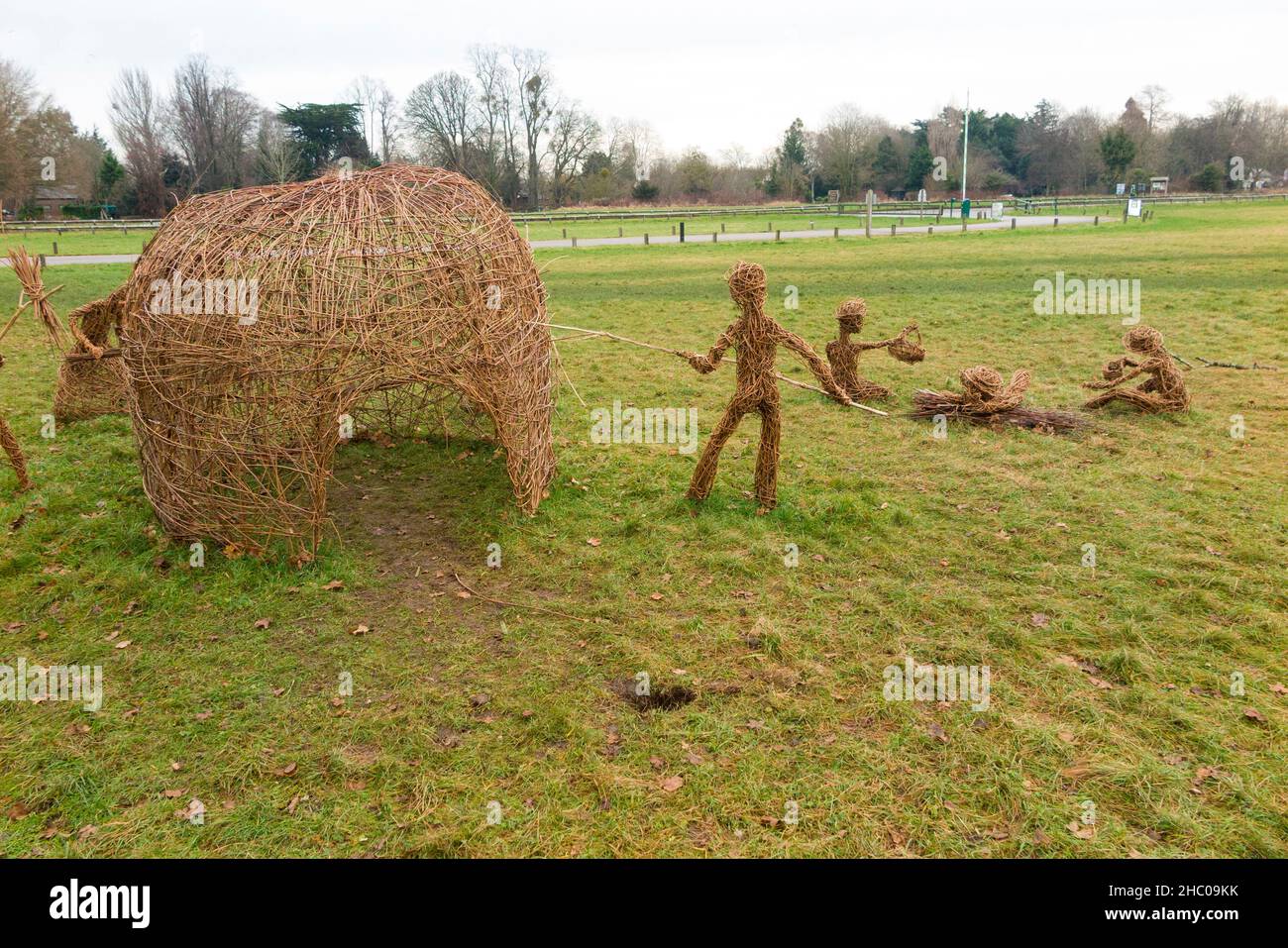 Bundles of willow branches Stock Photo - Alamy