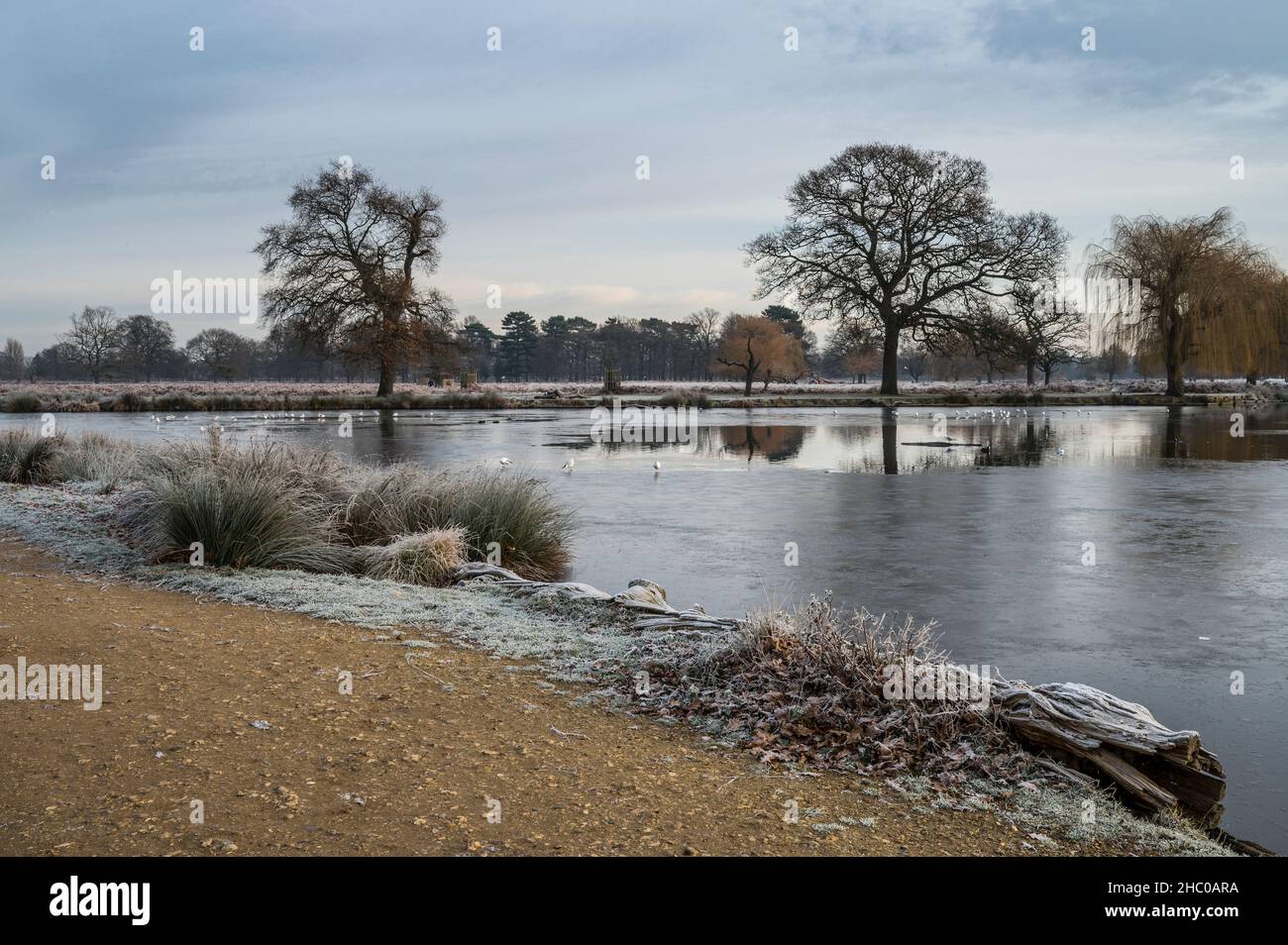 Mid winter on an early frosty morning Stock Photo