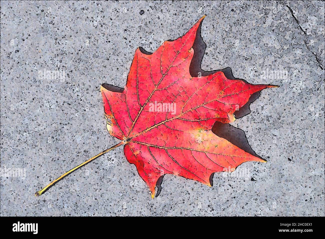 Canada Passport Stamp Hi Res Stock Photography And Images Alamy