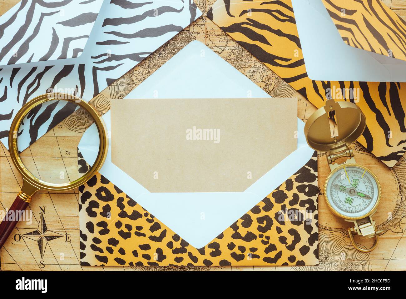 Envelopes with patterns of the skin of wild animals of tiger, jaguar, zebra with a magnifying glass and compass on the background of an old stylish ma Stock Photo