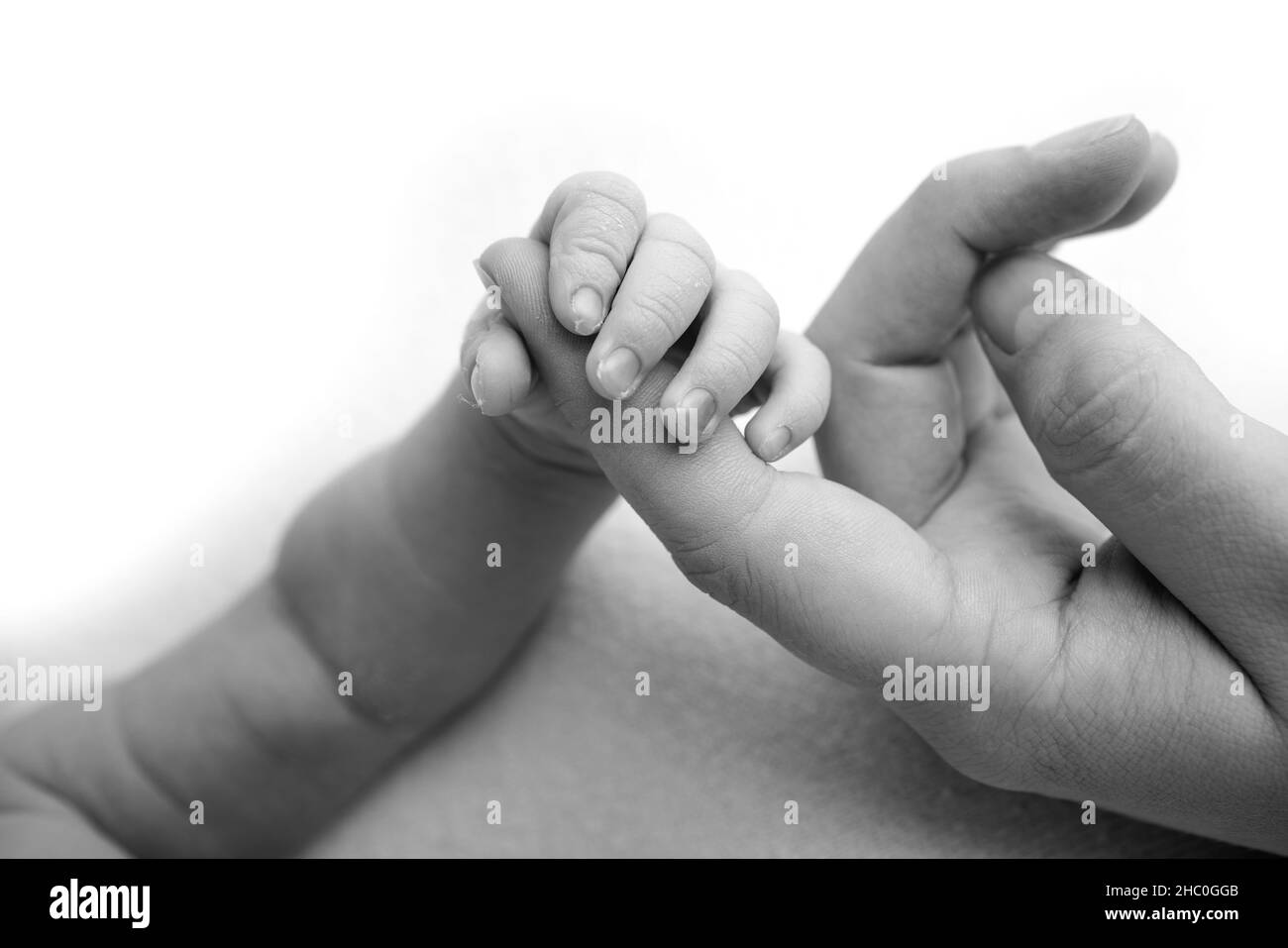 The newborn baby has a firm grip on the parent's finger after birth.  Stock Photo