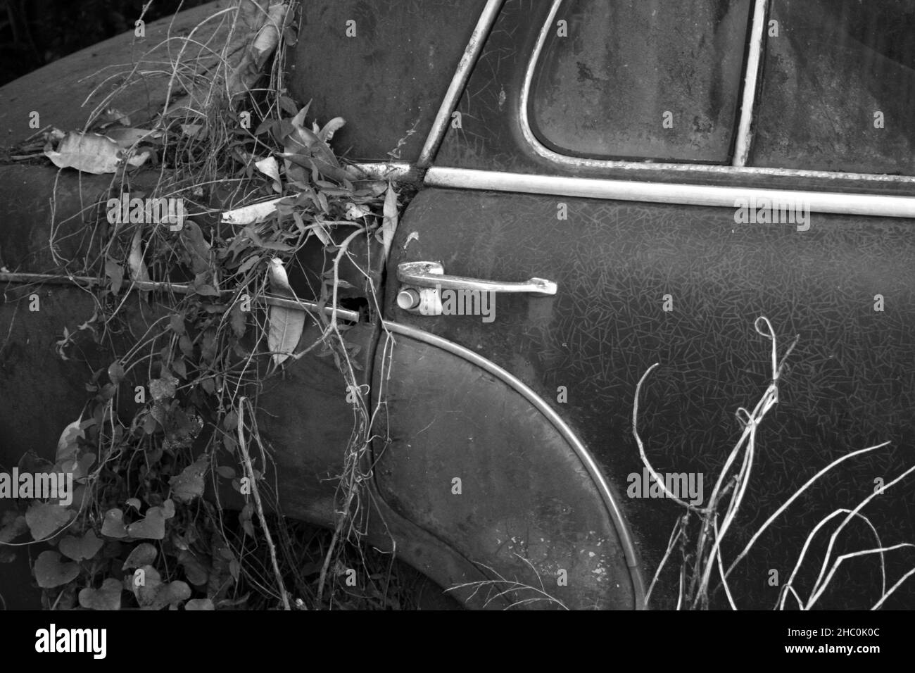 Old Historic Vintage Automotive Motor Car Door Panel with Handle Stock