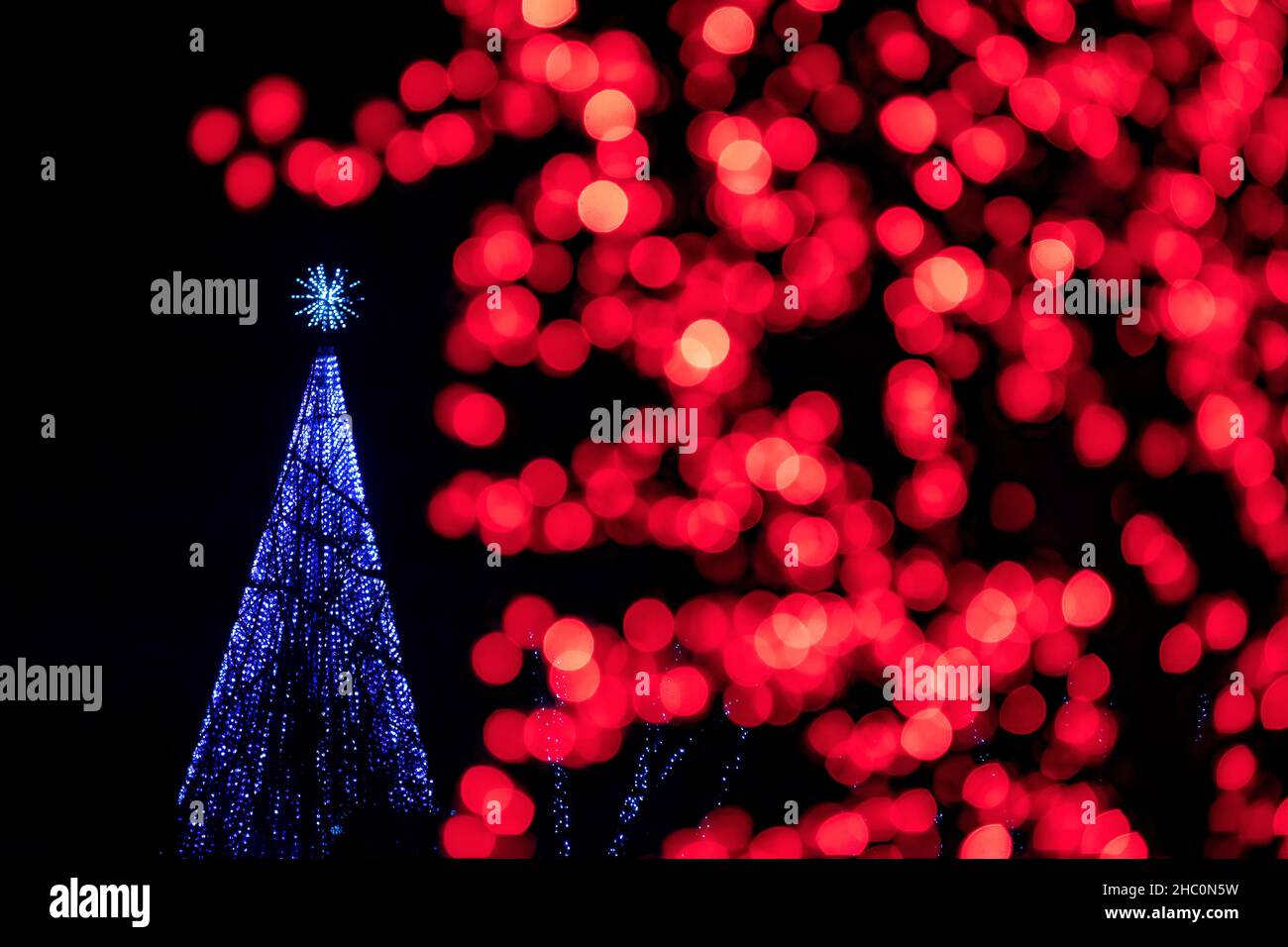 Illuminated Christmas Trees at Winter Lights event at the North Carolina Arboretum - Asheville, North Carolina, USA Stock Photo