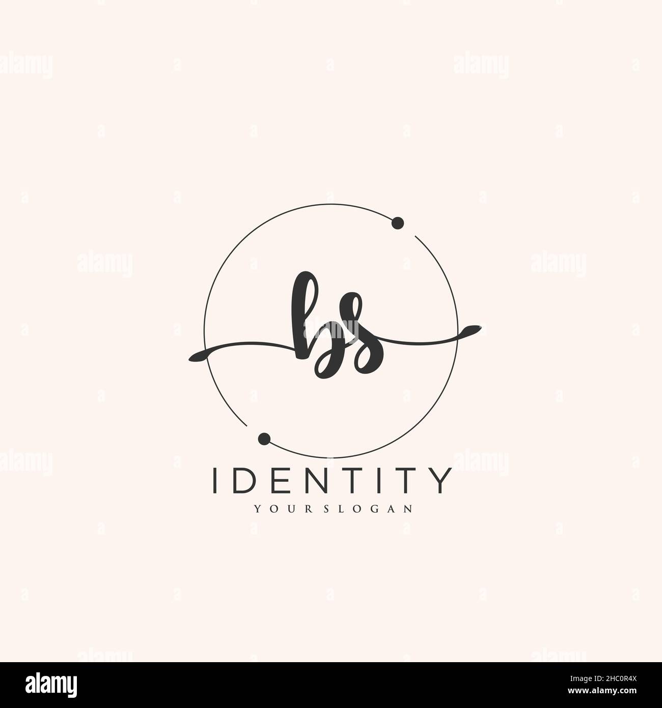 BS Handwriting logo vector art of initial signature, wedding, fashion, jewerly, boutique, floral and botanical with creative template for any company Stock Vector