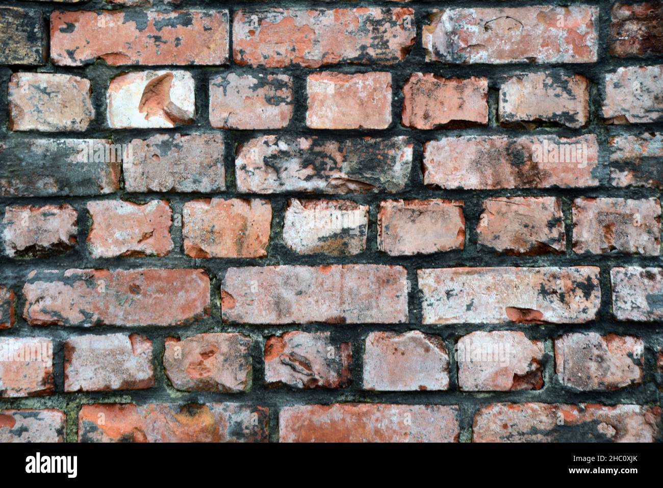 old bricks on an historic building create a rustic textured background Stock Photo