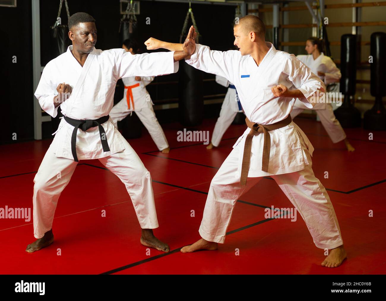Men sparring during karate training Stock Photo Alamy