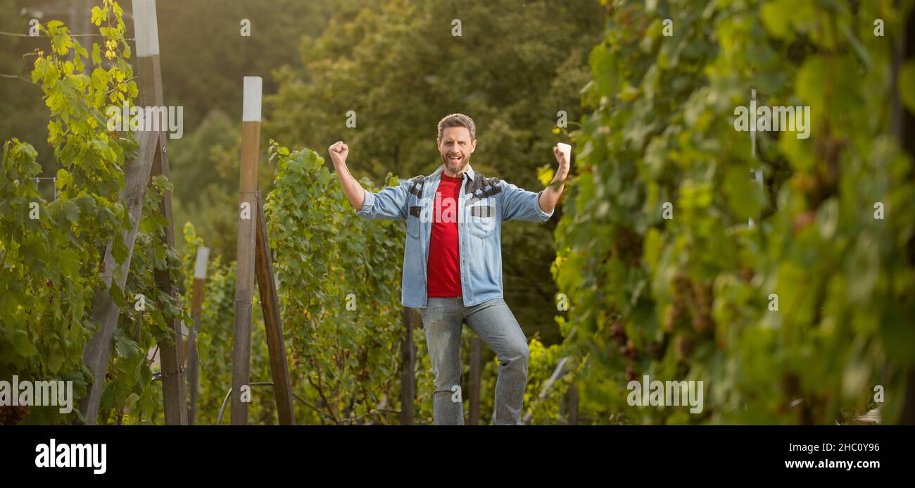 happy farmer vinedresser. male vineyard owner. professional vintner on grape farm Stock Photo