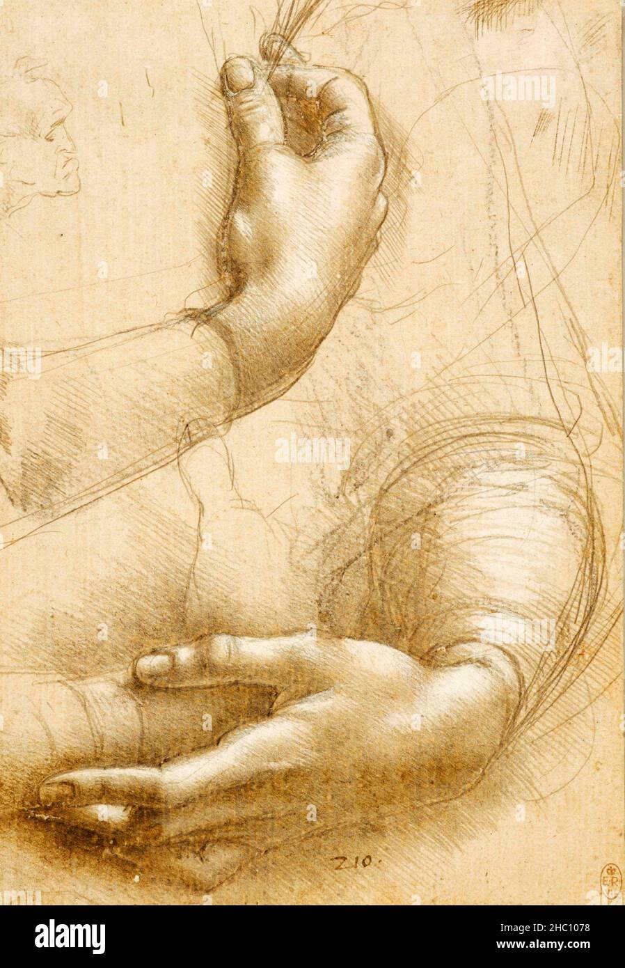 The famous Vitruvian Man drawing by Leonardo Da Vinci Stock Photo