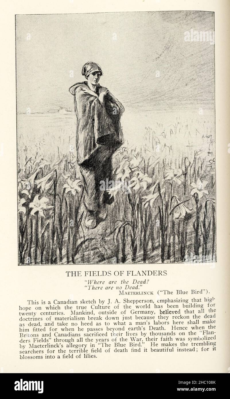 The Fields of Flanders “Where are the Dead?” “There are no Dead.” Maeterlinck (“The Blue Bird”) This is a Canadian sketch by J A Shepperson, emphasizing that high-hope on which the true Culture of the world has been building for twenty centuries. Mankind, outside of Germany, believed that all the doctrines of materialism break down just because they reckon the dead as dead, and take no heed as to what a man’s labors here shall make him fitted for when he passes beyond earth’s Death. Hence when the Britons and Canadians sacrificed their lives by thousands on the “Flanders Fields” through al Stock Photo