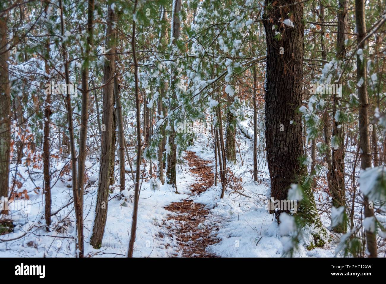 Halls Lake Michigan Hiking Stock Photo Alamy