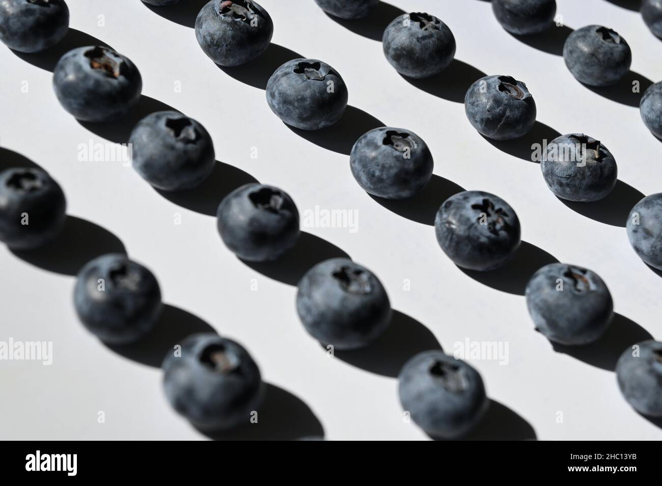 Artistic photograph of blueberries with hard shadows on white background. Stock Photo