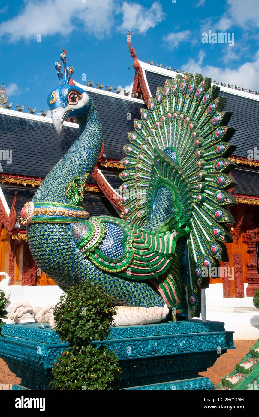 Thailand: Peacock, Wat Ban Den, Ban Inthakin, Mae Taeng District, Chiang Mai. Wat Ban Den, also known as Wat Bandensali Si Mueang Kaen, is a large Buddhist temple complex north of the city of Chiang Mai in Northern Thailand. Stock Photo