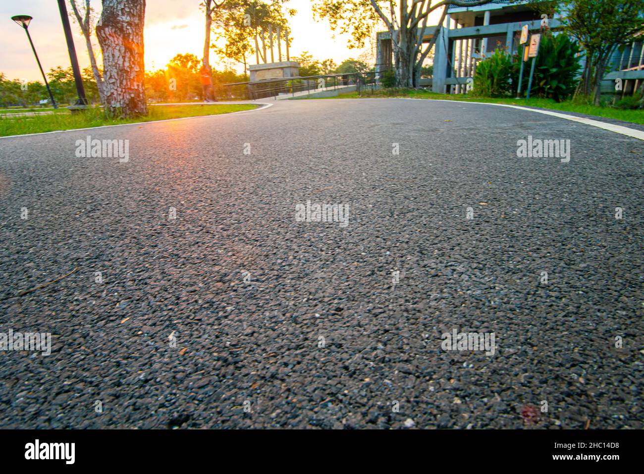 Asphalt walk and run pathway in city public park evening sunset nature ...
