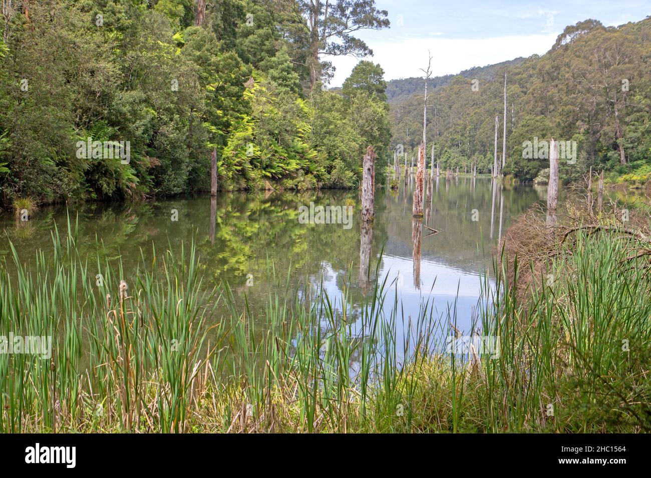 Lake Elizabeth Stock Photo Alamy