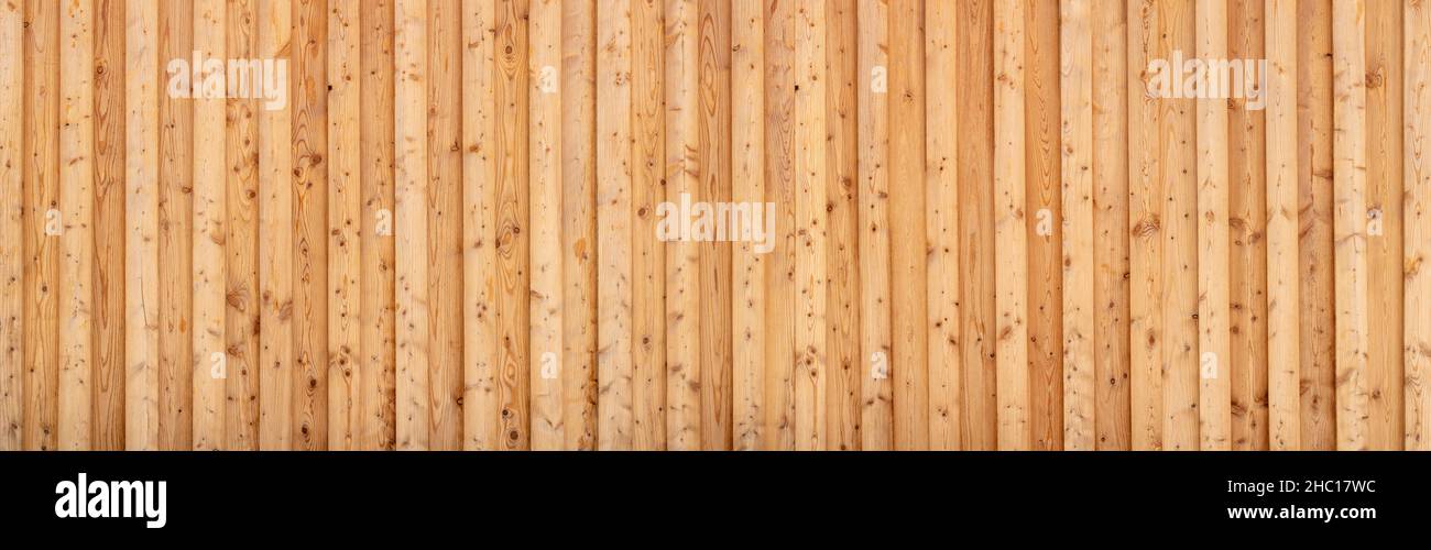 Light brown panoramic wooden wall made of spruce wood Stock Photo