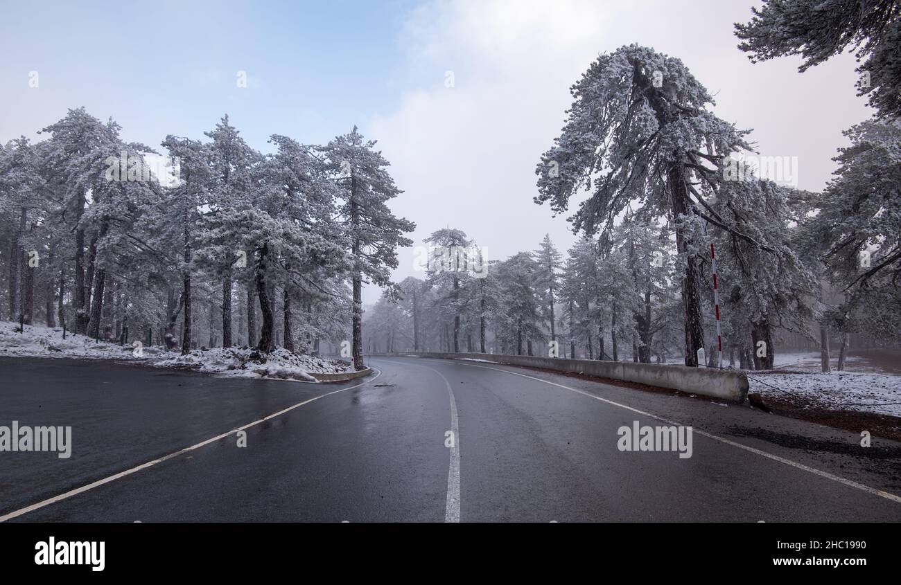 Winter forest landscape. Highway mountain road in wintertime. Stock Photo