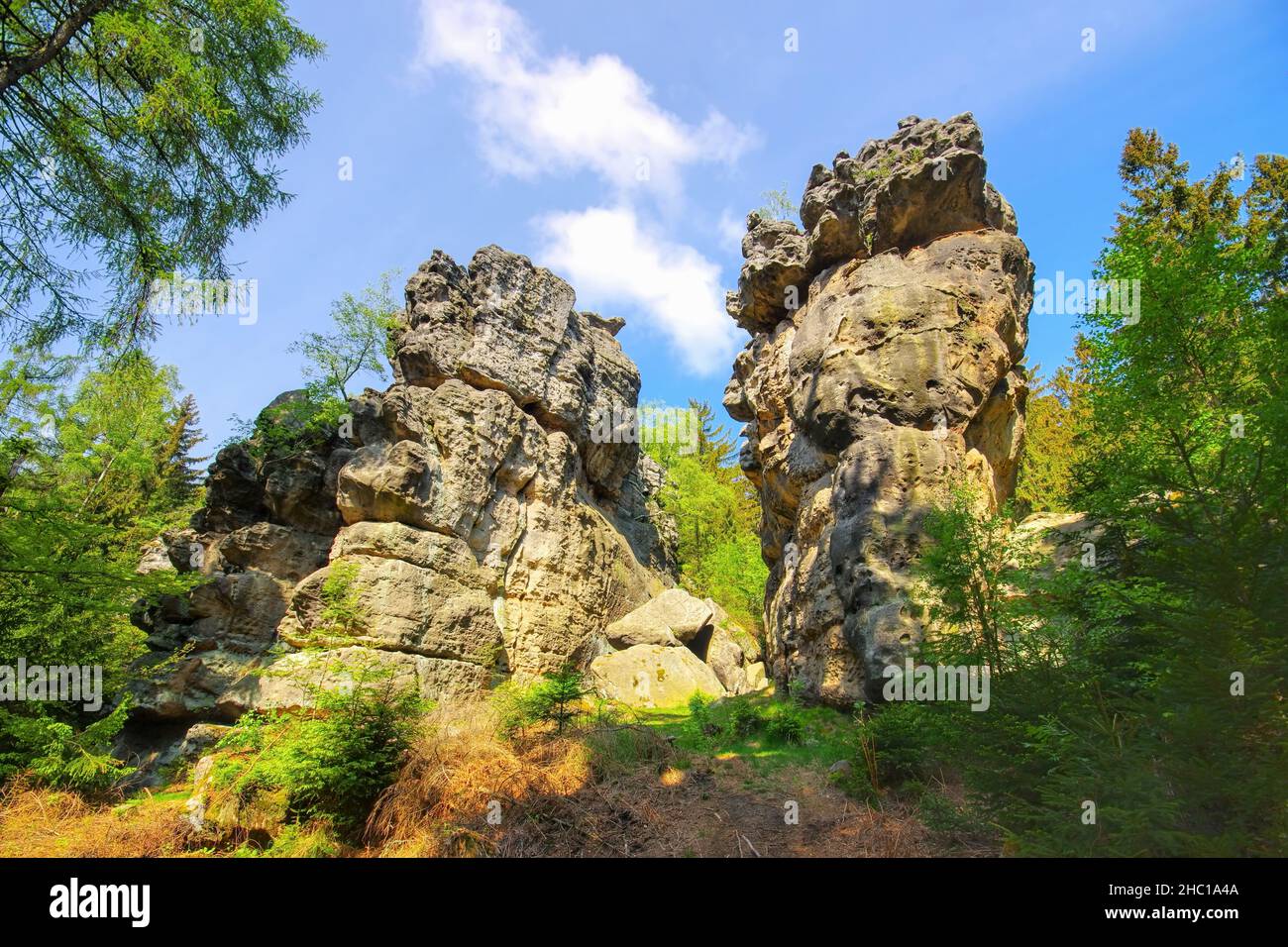 Spring With Rocks Spring rocks hi-res stock photography and images - Alamy