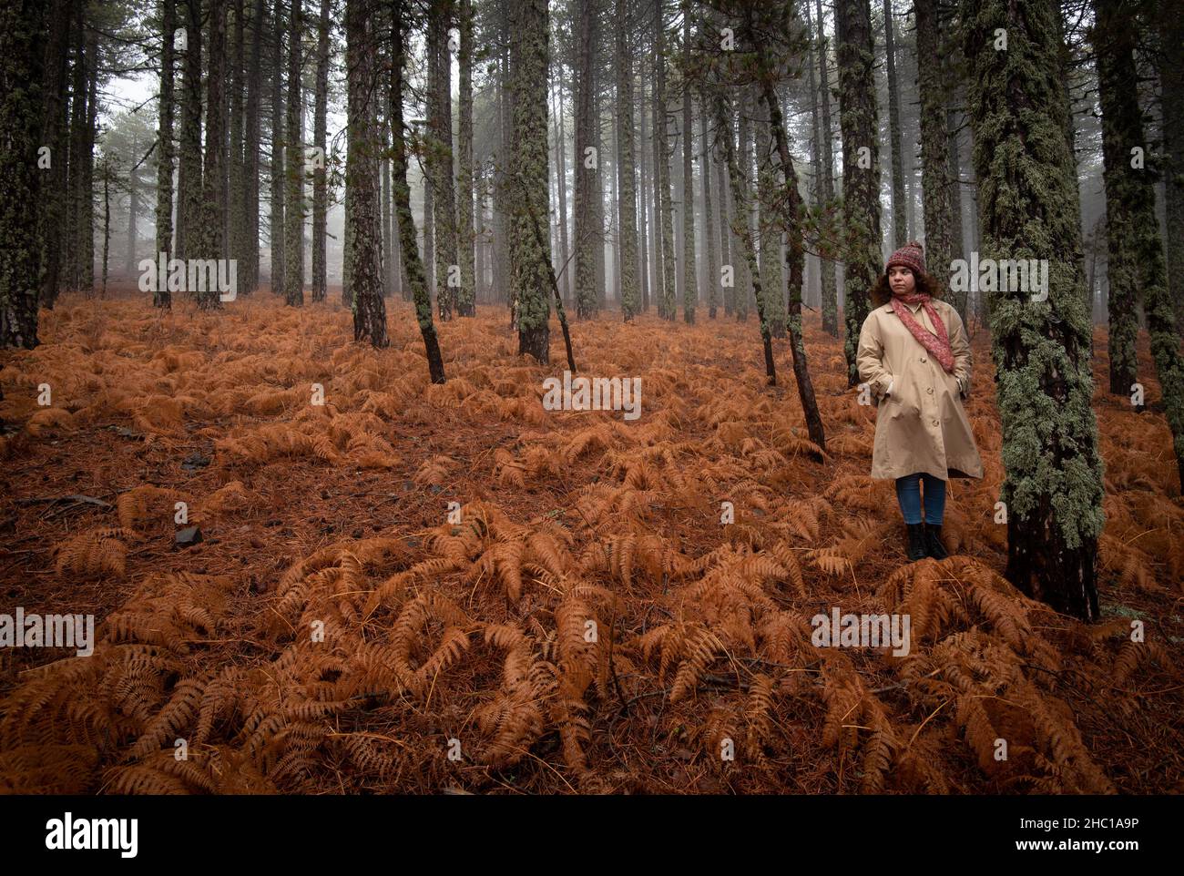 Young woman in worm clothing standing in the forest in winter. Troodos mountain Cyprus Stock Photo