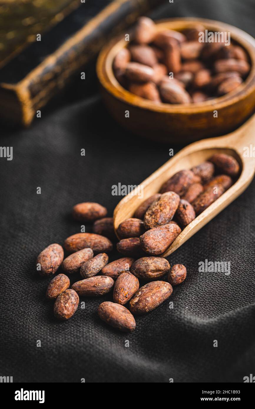 Dried cocoa beans. Cacao beans in wooden scoop. Stock Photo
