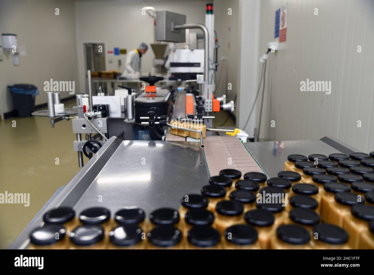 Jars of creamed honey in a packaging line at a commercial honey factory