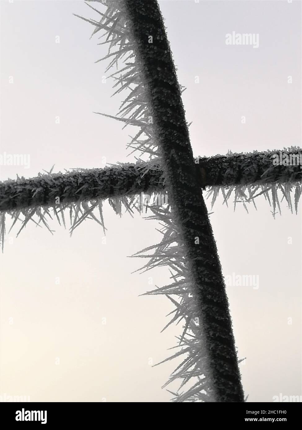 hoarfrost on atwo crossed thin black iron bars against a light background Stock Photo