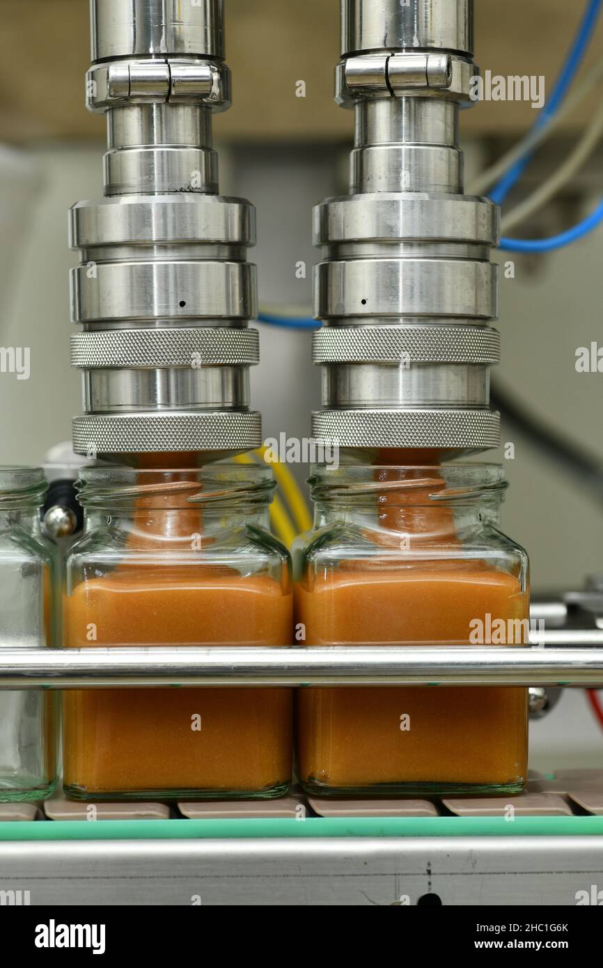 Jars of creamed honey being filled in a packaging line at a commercial