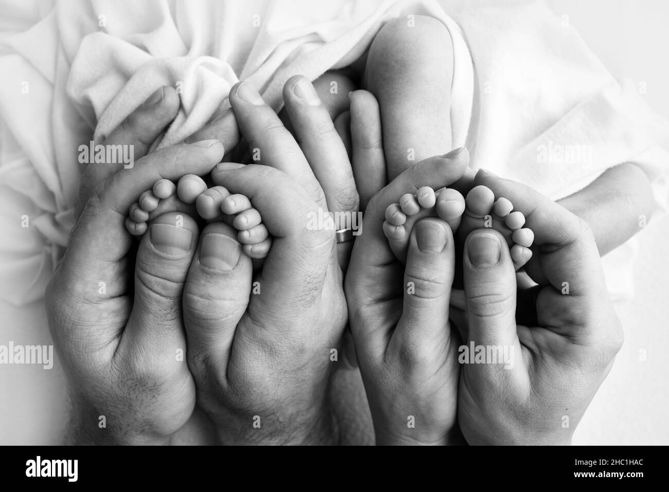 Feet of newborn twins. Parents, father mother hold newborn twins by the legs. Stock Photo