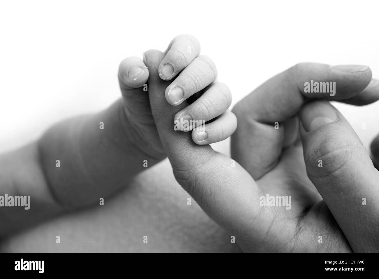 The newborn baby has a firm grip on the parent's finger after birth.  Stock Photo