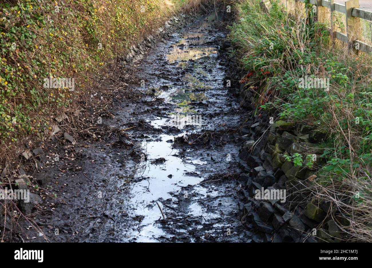 Mud and sludge at the bottom on an empty narrow stream after water has been drained out. Stock Photo