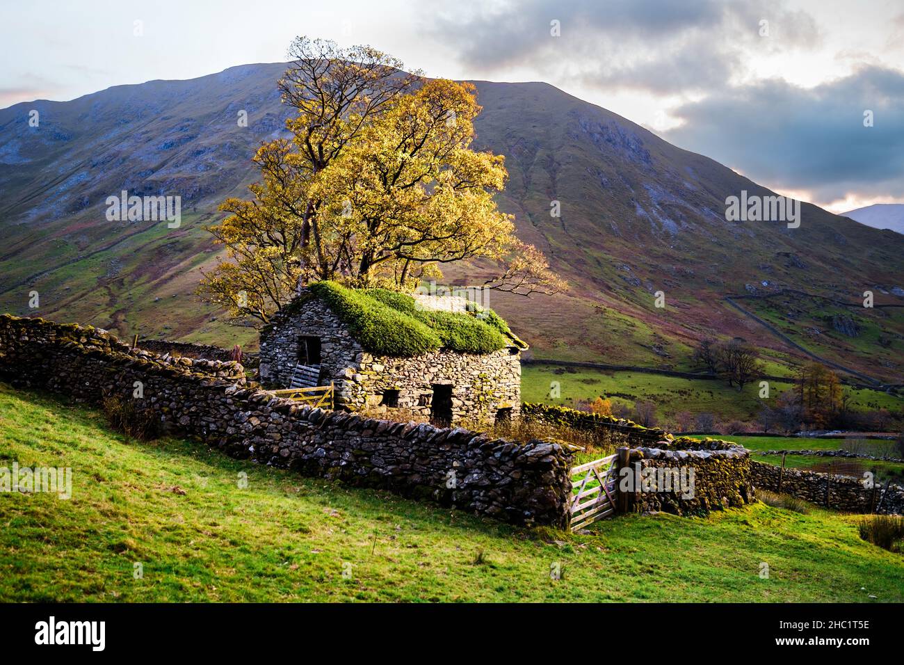 An old stone barn on the hillside in Hartsop, Lake District, UK Stock Photo