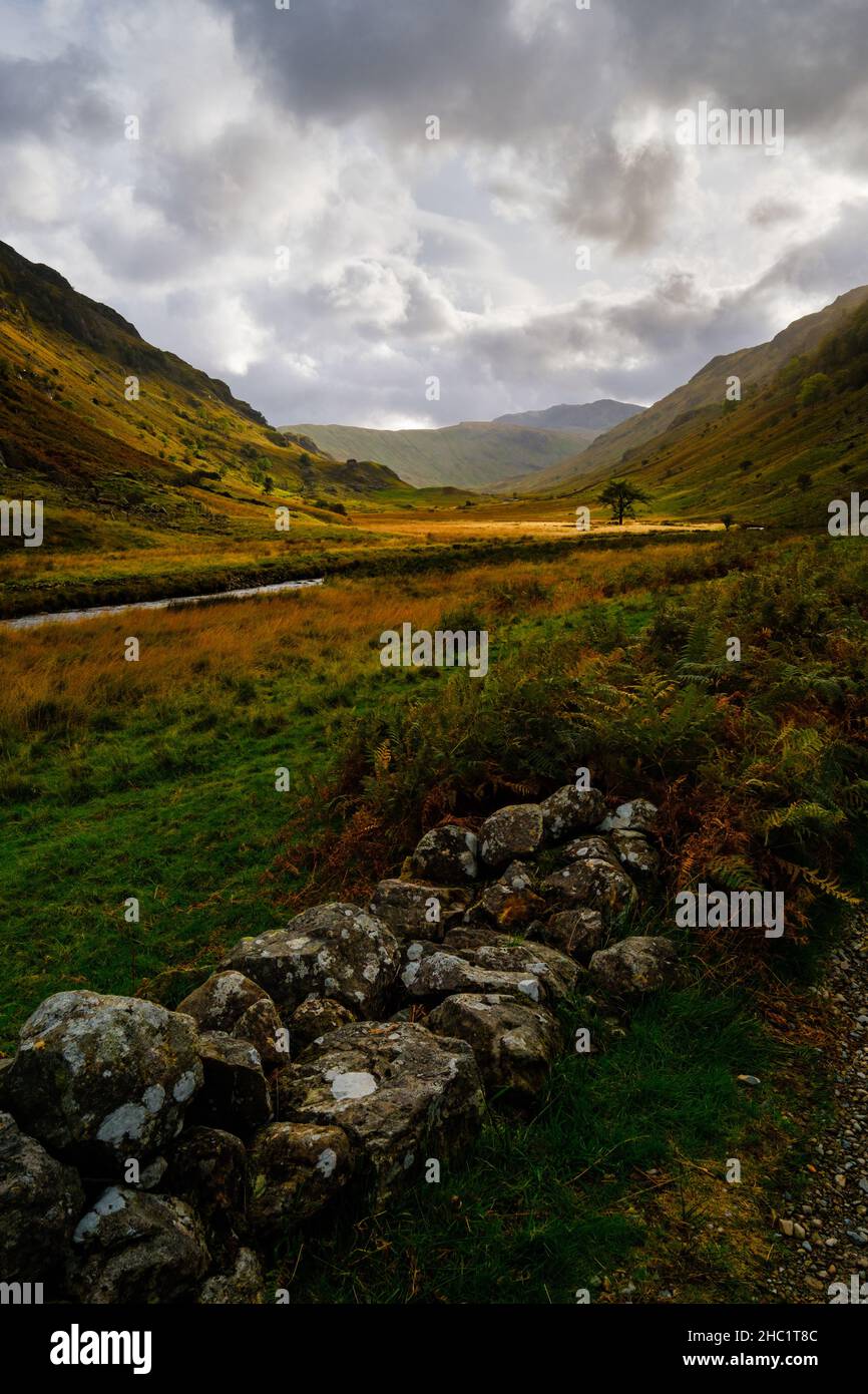 The Langstrath Valley in Borrowdale, Lake District Stock Photo