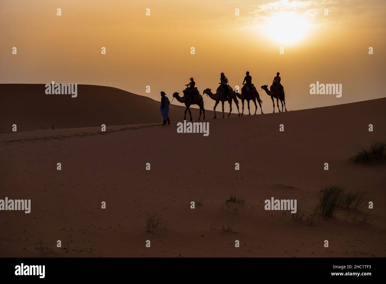 Sahara desert in Morocco Stock Photo