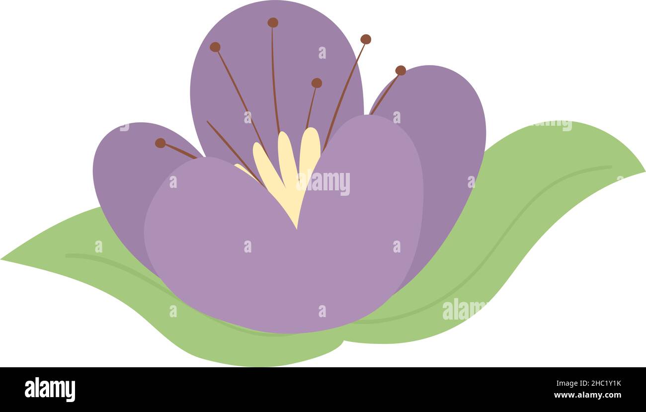 purple flower and leaf Stock Vector Image & Art - Alamy