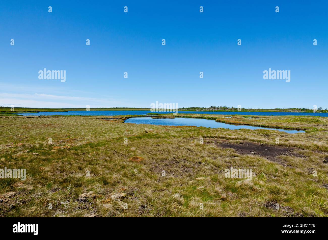 Beach in Gros Morne National Park, Newfoundland Stock Photo Alamy