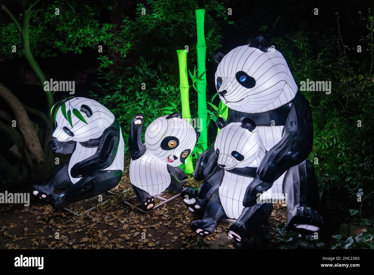 Illuminated pandas at the Lightopia event in Crystal Palace Park, London Stock Photo