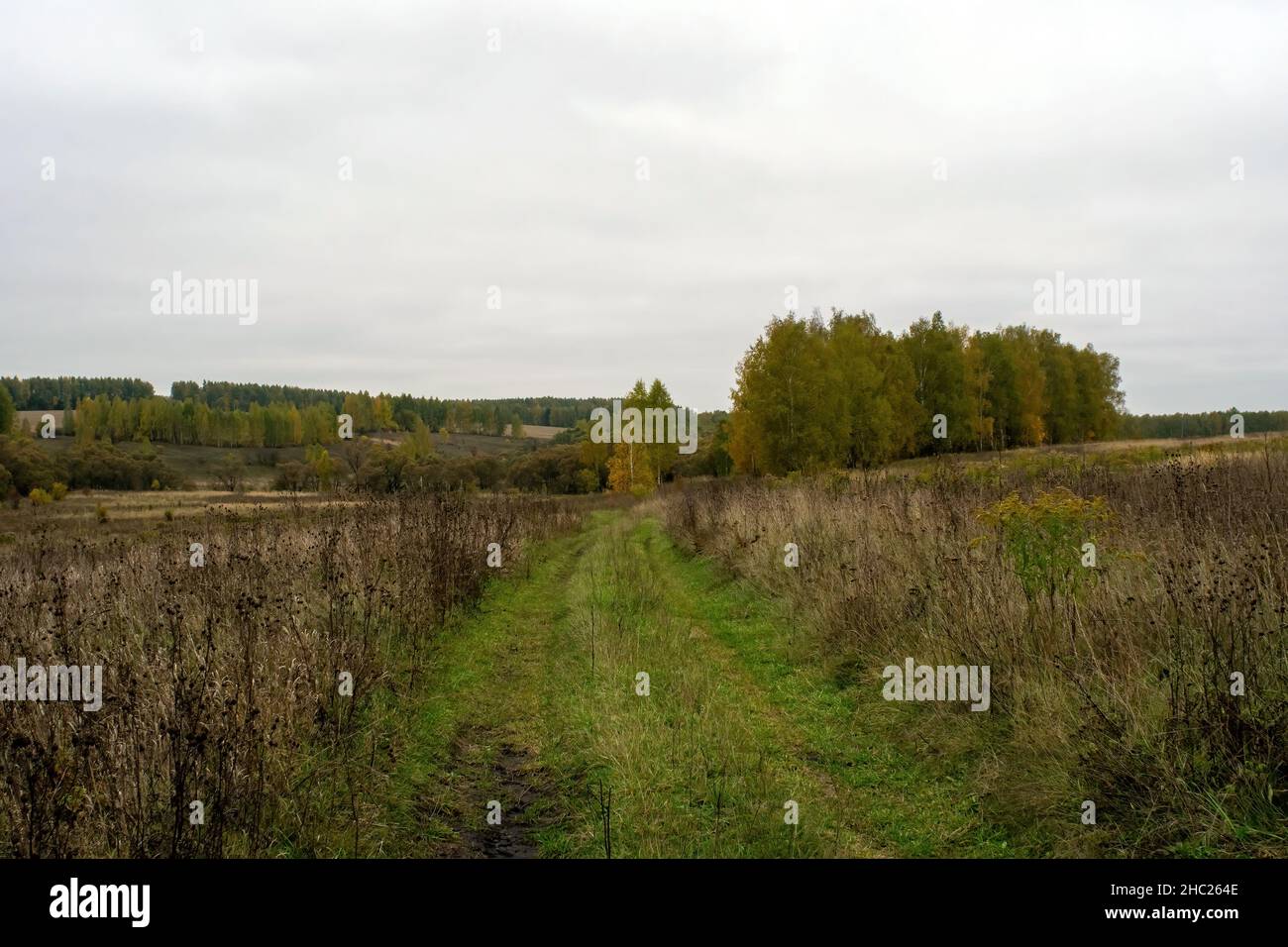 landscape on a cloudy autumn day, central Russia Stock Photo