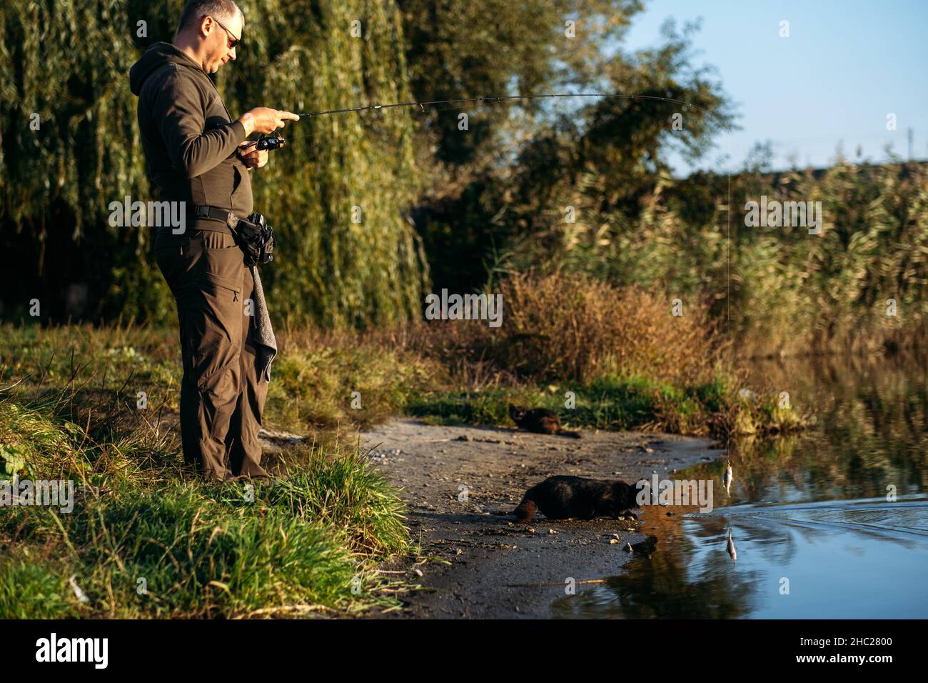 Homeless hungry black cat catching fish with fisherman on the river ...