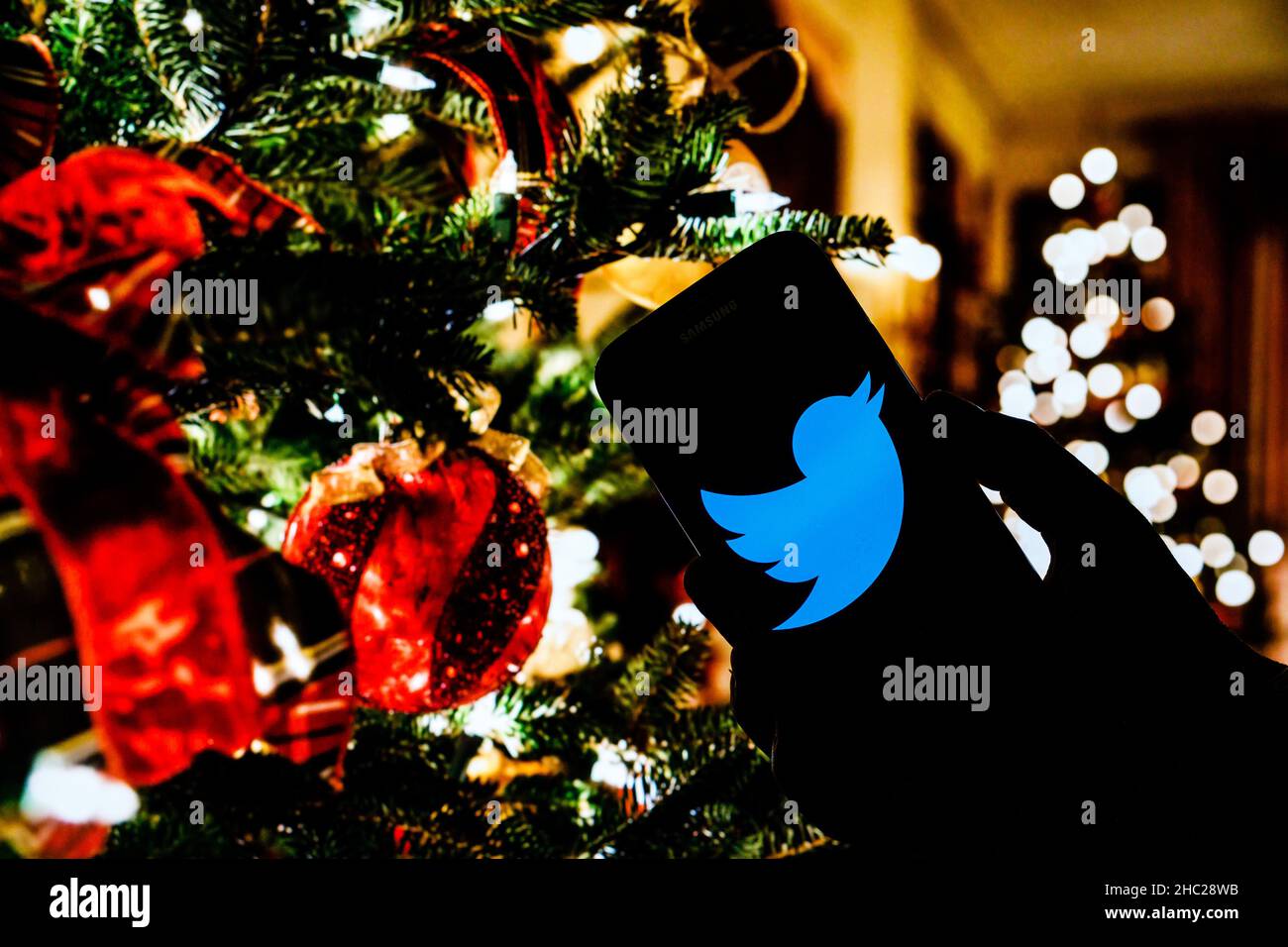 In this photo illustration a Twitter logo seen displayed on a smartphone. Stock Photo