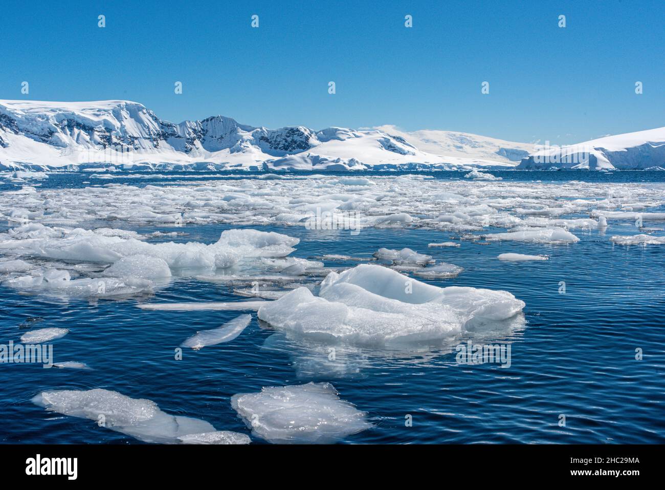 Bergy bits, also known as growlers, broken off from an iceberg floating in Wilhelmina Bay