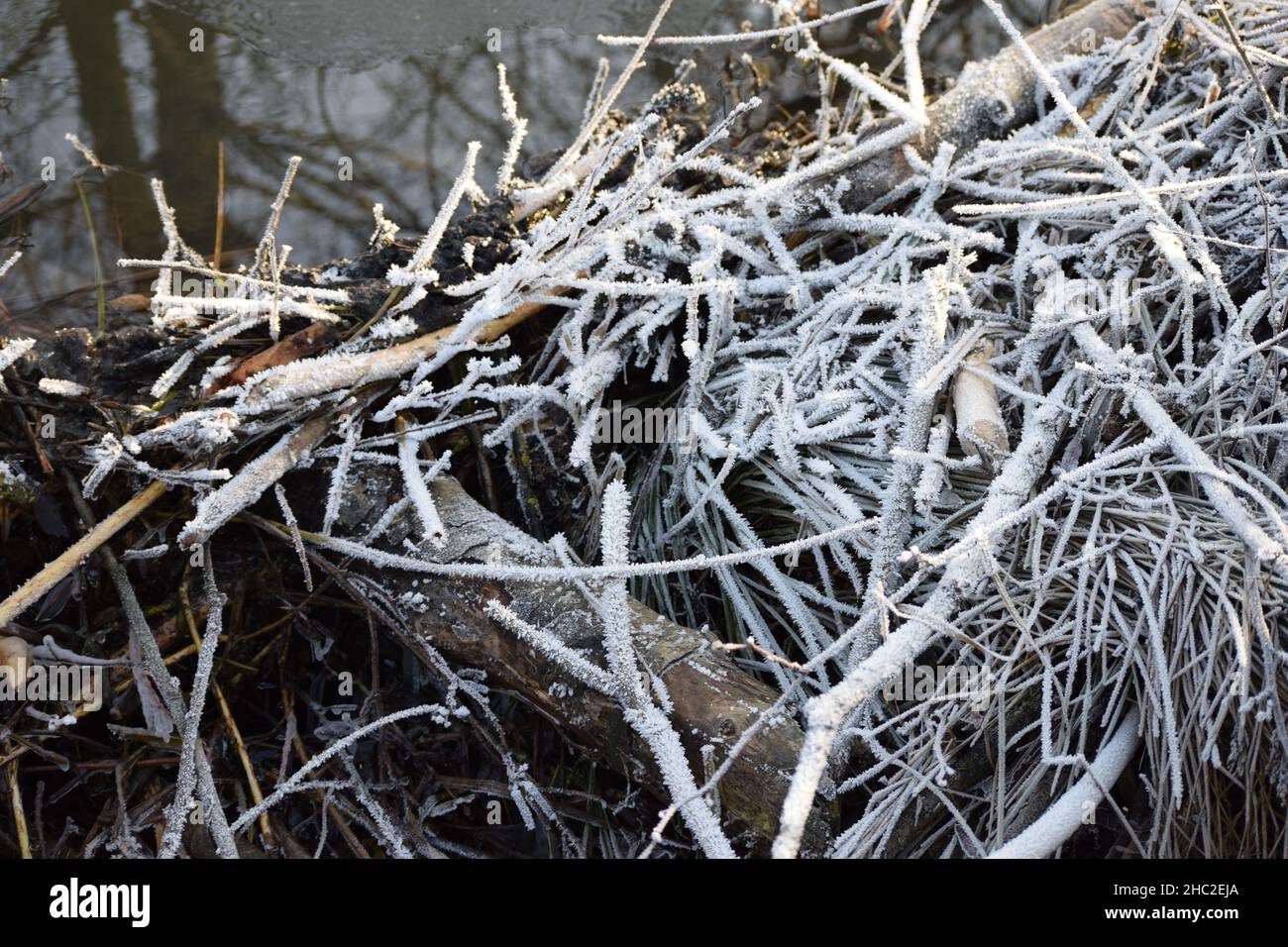 beautiful Water retention construction with Hoarfrost Stock Photo
