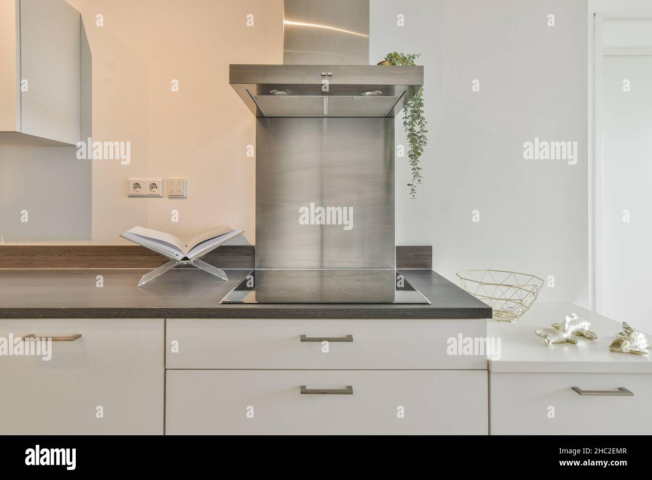 Electronic cooker with a range hood and a flower in a pot above it Stock Photo