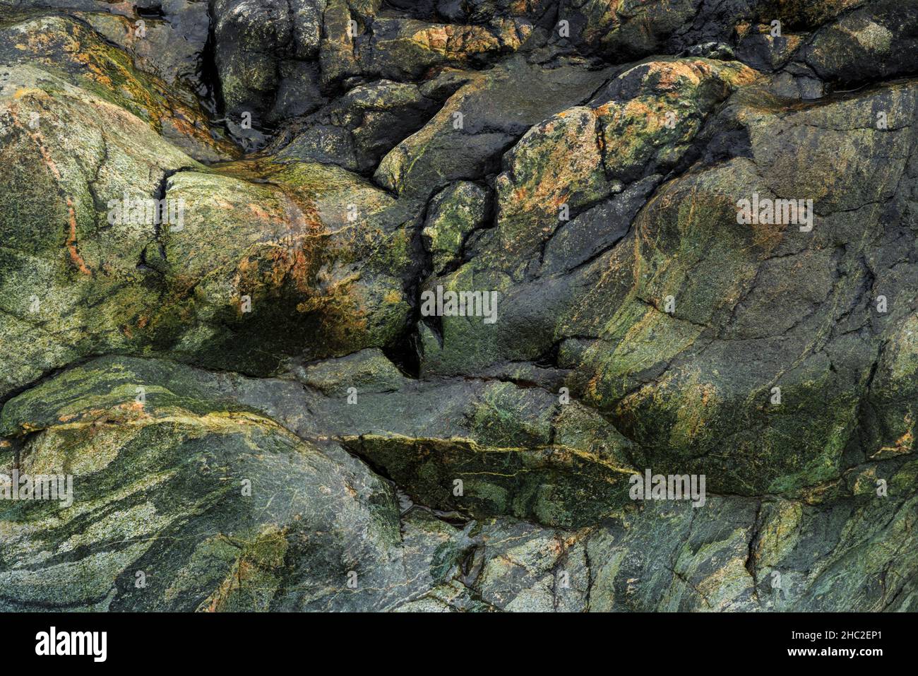 Green granite on the Isle of Iona. Stock Photo