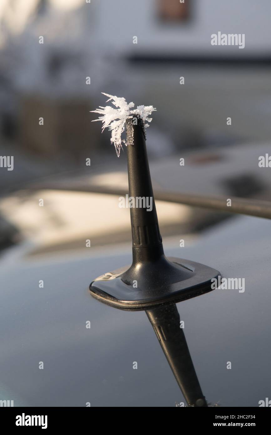 punky hairstyle by frost car antenna with beautiful reflection Stock