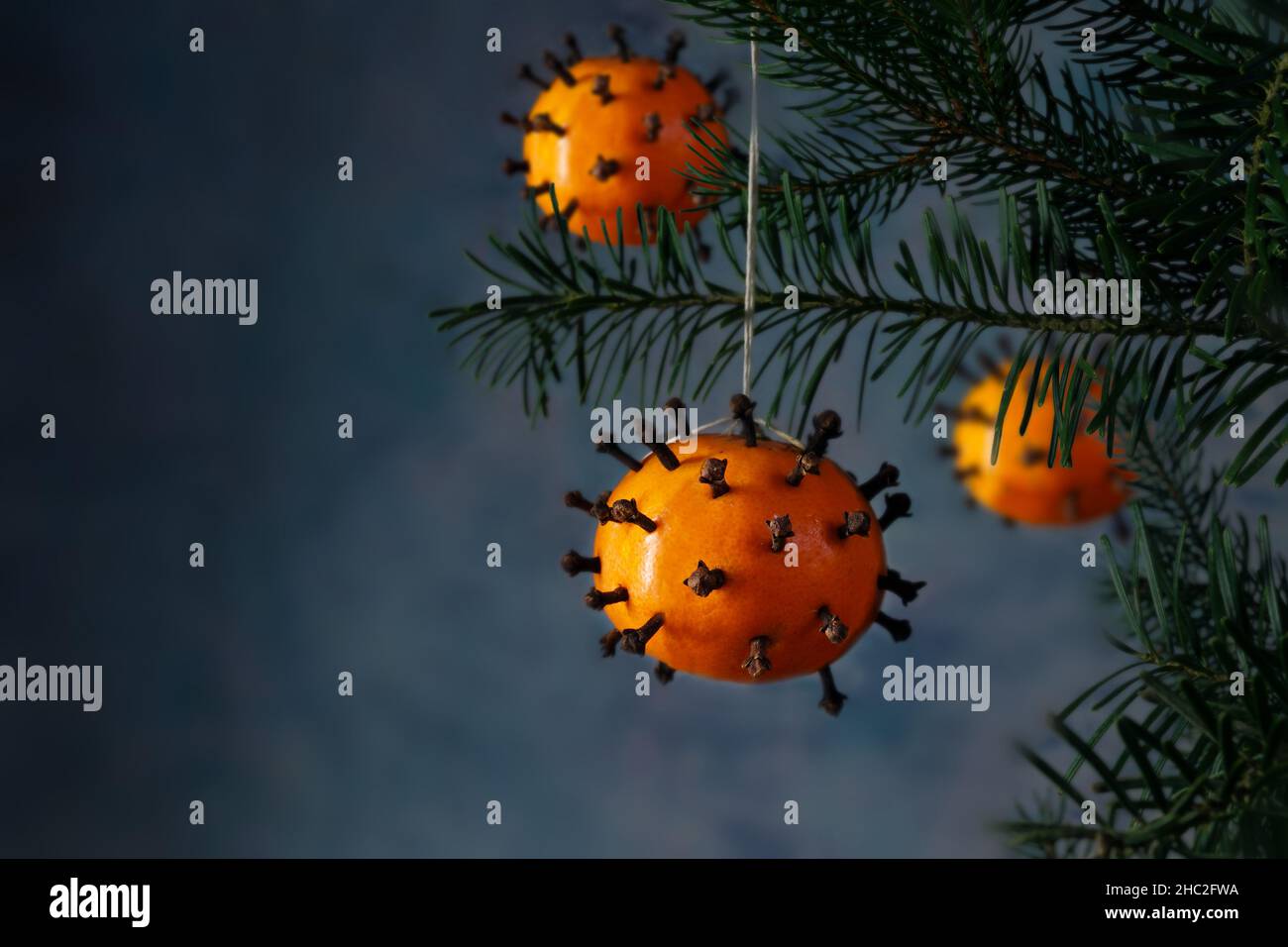 Tangerines with cloves as coronavirus omicron variant symbol hanging on a fir tree as Christmas decoration, holiday with covid-19 pandemic, dark backg Stock Photo