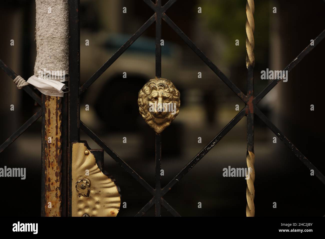 beautiful wrought iron gates, the head of a lion Stock Photo