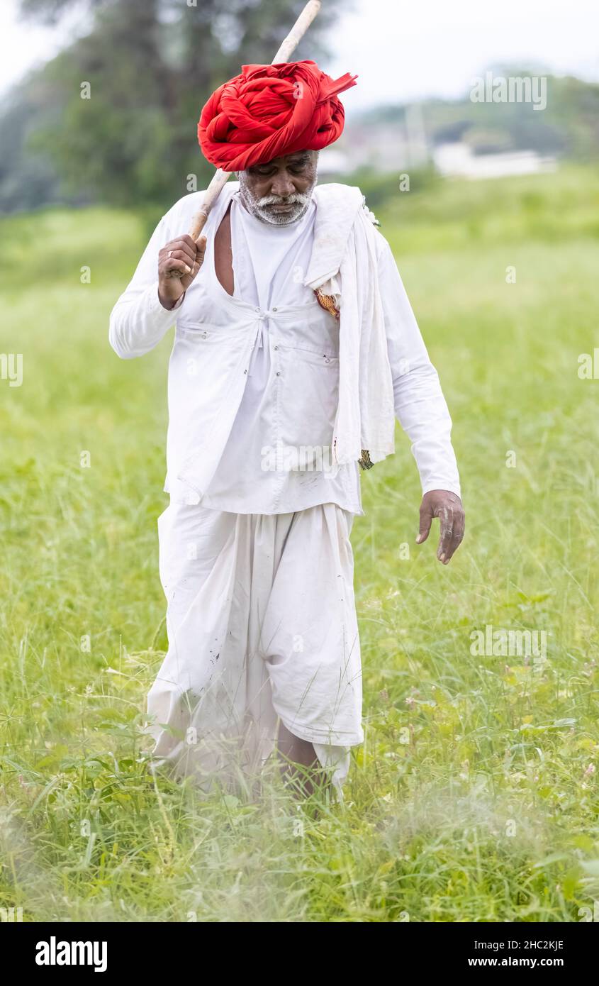 Indian farmer white turban in hi-res stock photography and images - Alamy
