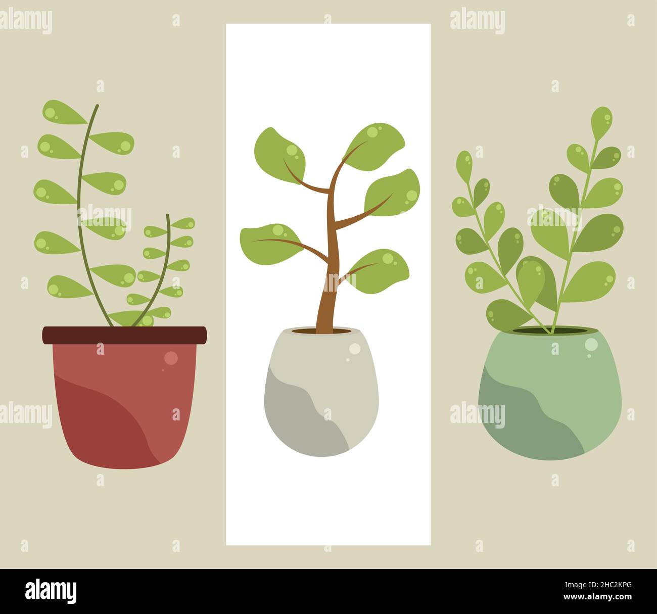 icons set houseplants Stock Vector Image & Art - Alamy