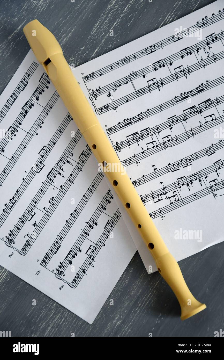 recorder, flute, music, school, class, learn, music sheet, instrument, wind, play, folk, traditional, musical instrument Stock Photo