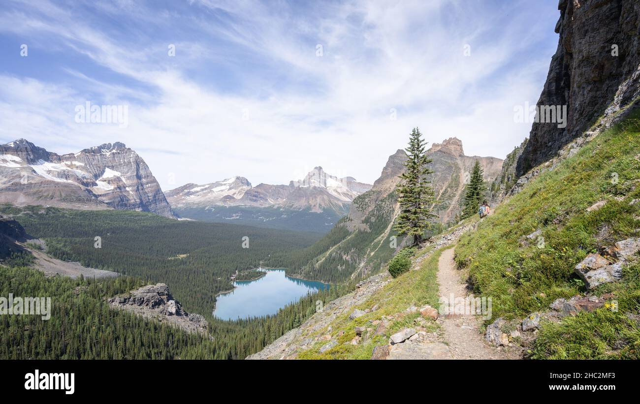 Beautiful alpine valley with blue glacier lake, forest and surrounding peaks, wide view Canada Stock Photo