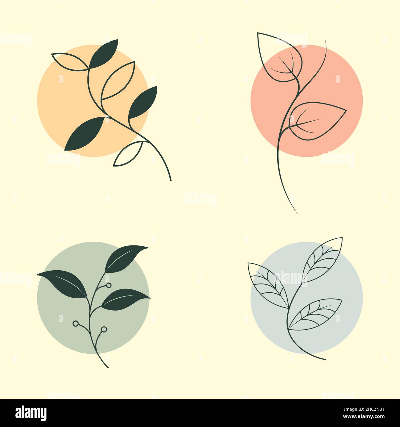 set of leaves Stock Vector Image & Art - Alamy